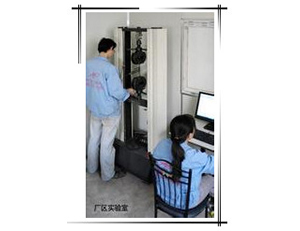 极悦-抗拉强度、弹性模量、伸长率检测仪器