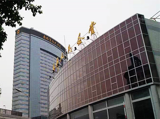 极悦碳纤维布加固福州市人民会堂