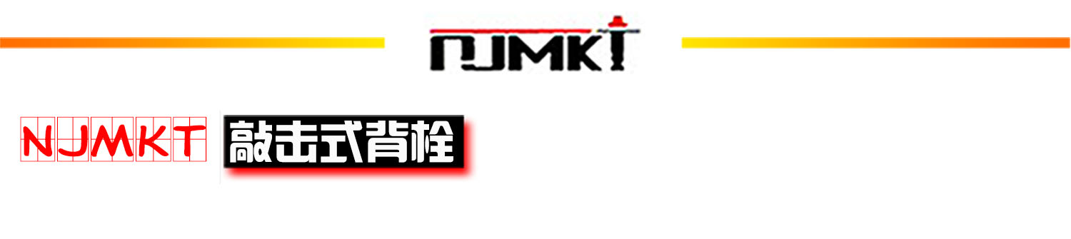 极悦316不锈钢敲击式背栓首标