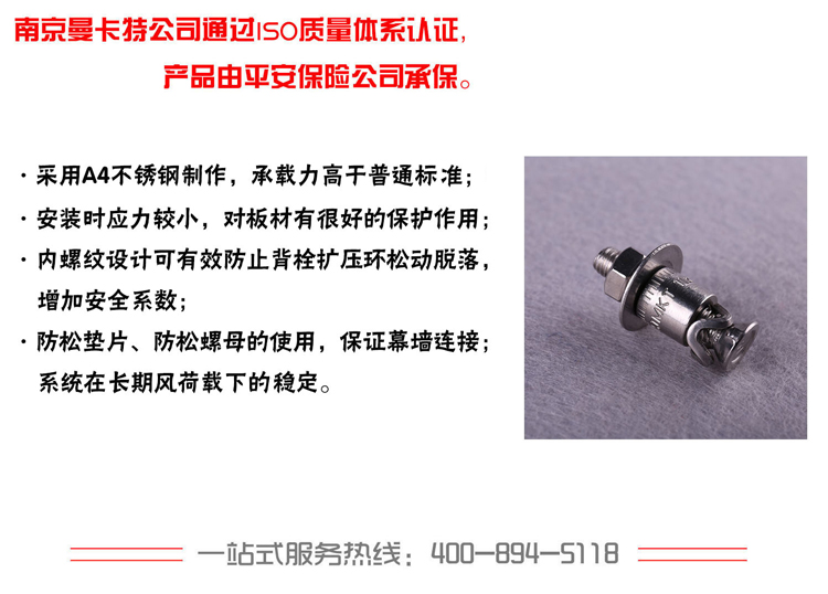 极悦316不锈钢敲击式背栓