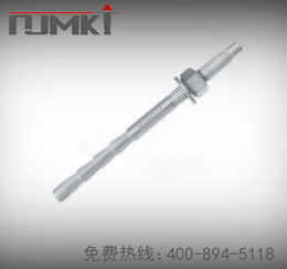 倒锥形化学锚栓_定型化学锚栓_东莞极悦化学锚栓生产厂家