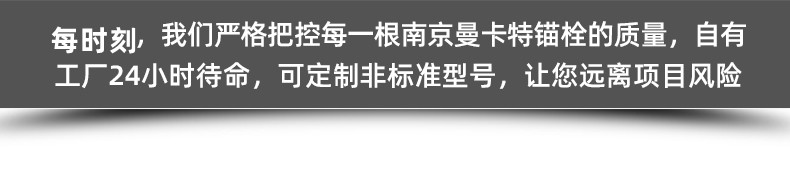 力矩控制式胶粘型锚栓 (15)_副本