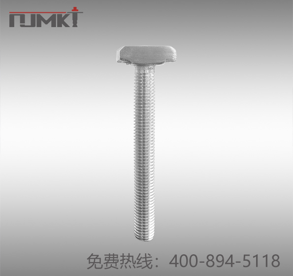 东莞极悦预埋槽道用T形螺栓
