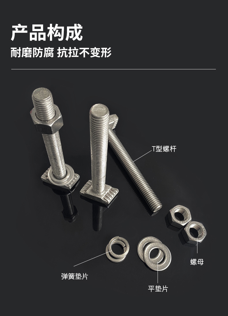 东莞极悦T型螺栓 (3)