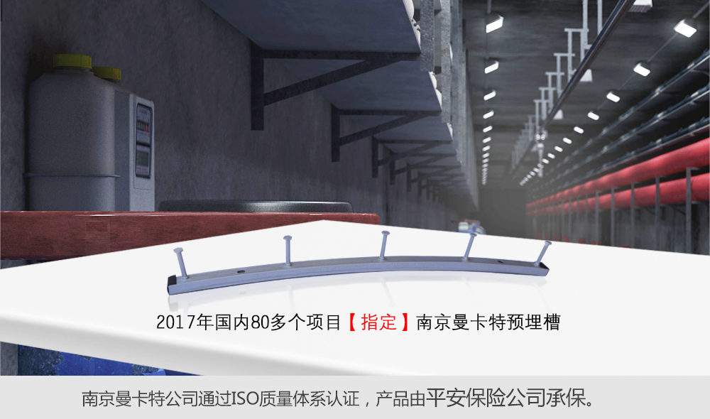 地下综合管廊预埋槽指定东莞极悦